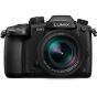 Panasonic Lumix GH5 with Leica DG Vario-Elmarit 12-60mm f/2.8-4 ASPH. POWER O.I.S. Lens Kit