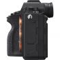 Sony Alpha a9 II Mirrorless Digital Camera (Body)