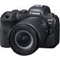 Canon EOS R6 Mirrorless Digital Camera with RF 24-105mm f/4-7.1 IS STM Lens with EF-EOS R Adapter Kit 
