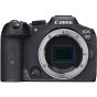 Canon EOS R7 Mirrorless Camera with EF-EOS R Control Ring Mount Adapter