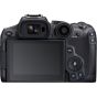 Canon EOS R7 Mirrorless Camera (Body Only)